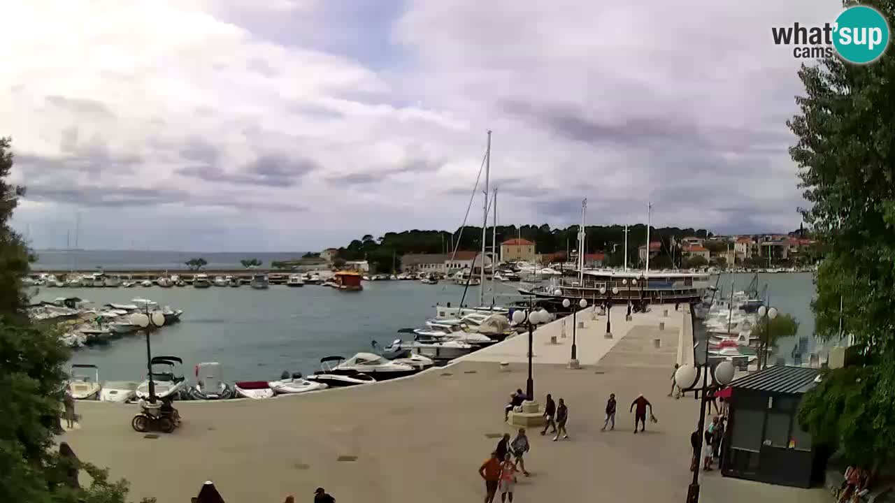 Webcam Krk – marina