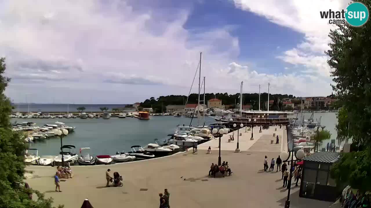 Webcam Krk – marina