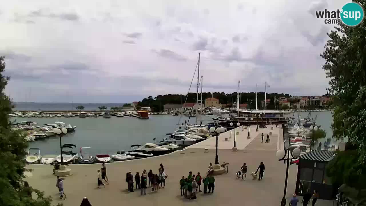 Webcam Krk – marina