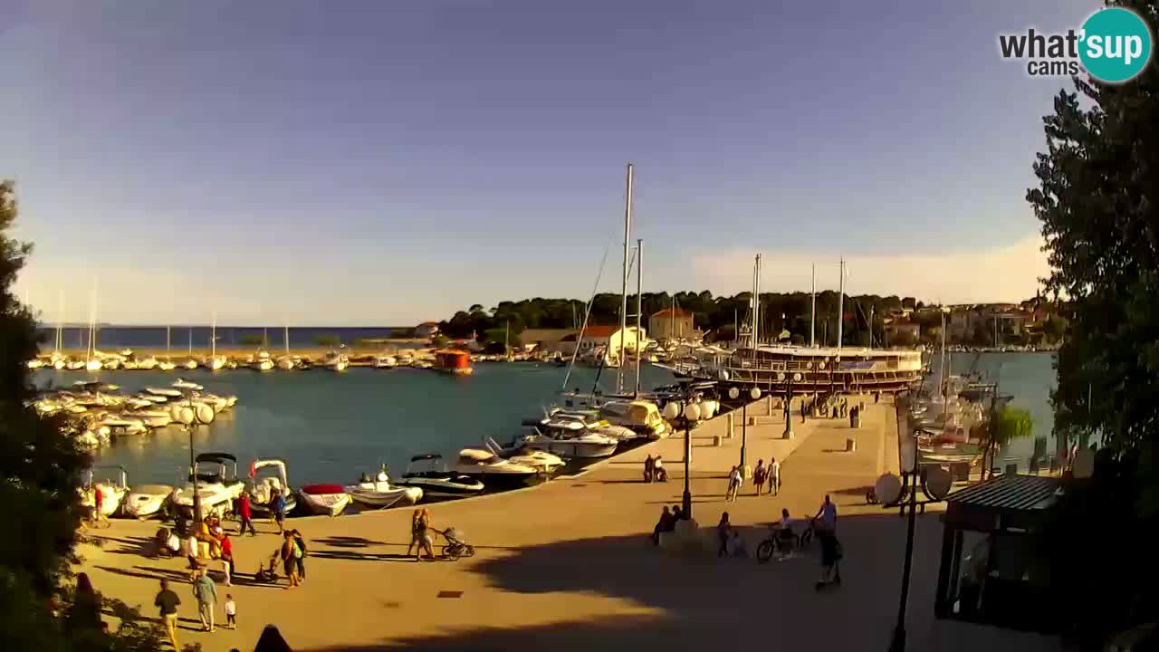 Webcam Krk – marina