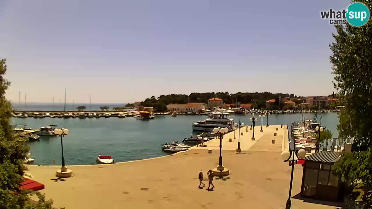 Webcam Krk – marina