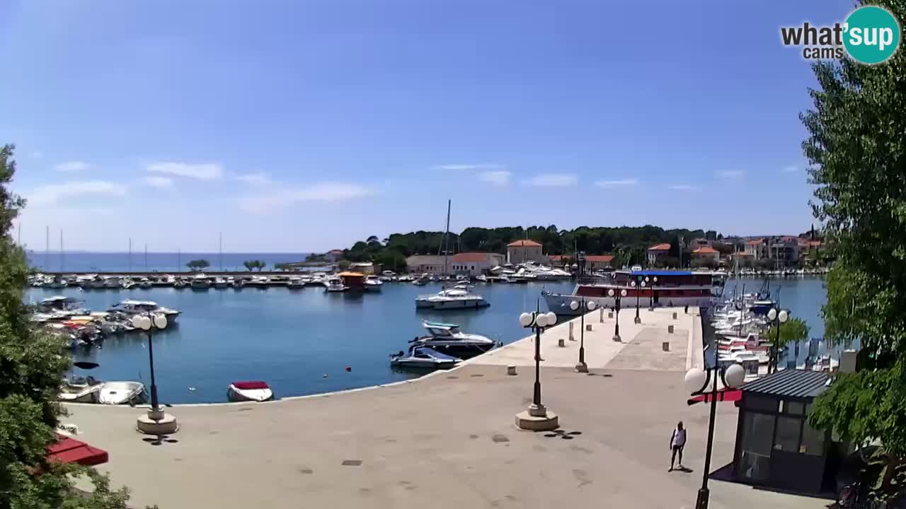 Webcam Krk – marina