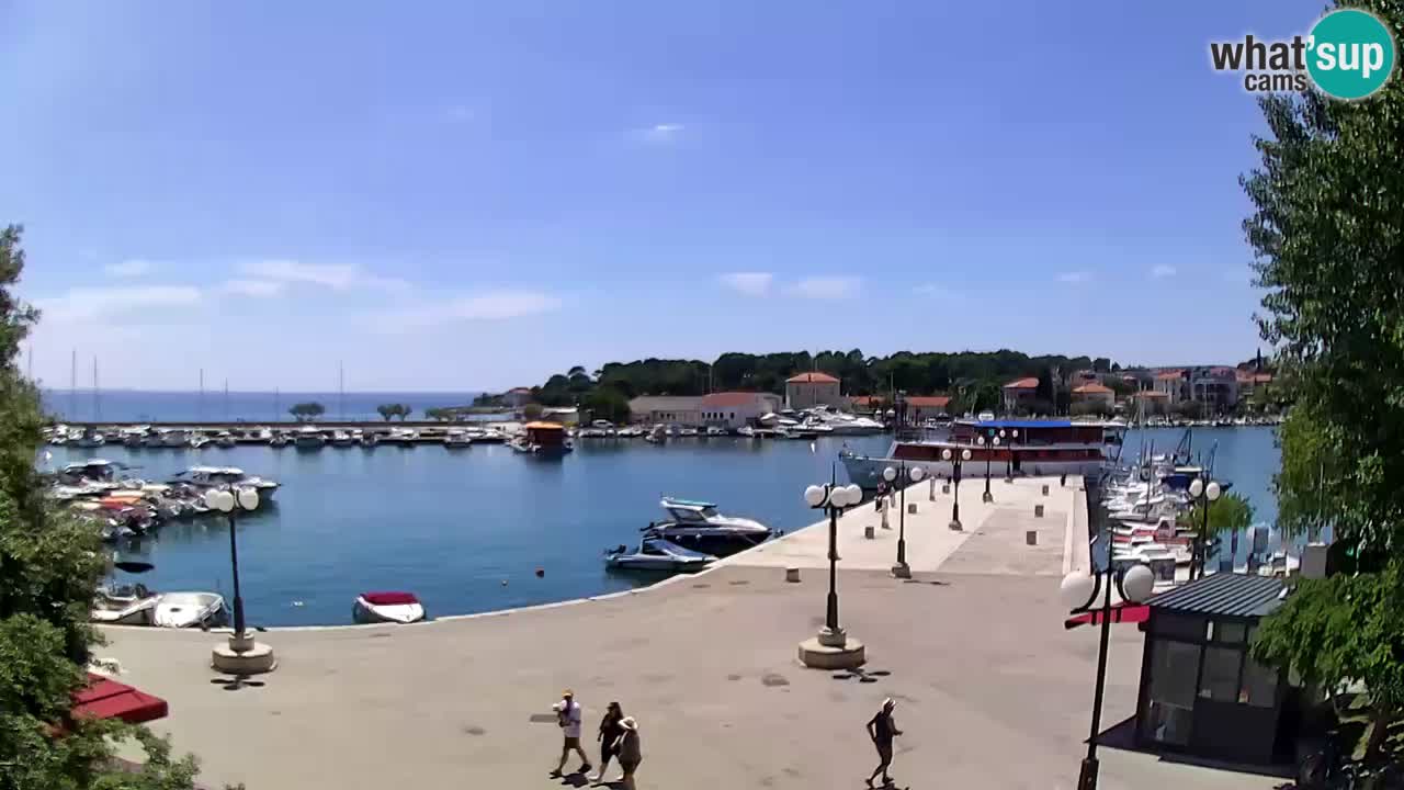 Webcam Krk – marina