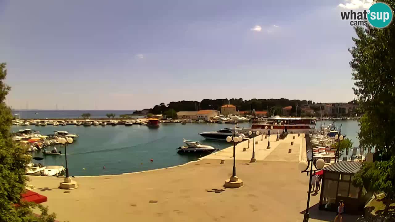 Webcam Krk – marina