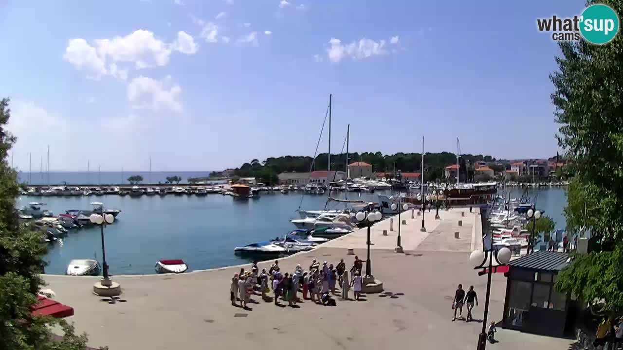 Spletna kamera Krk – marina
