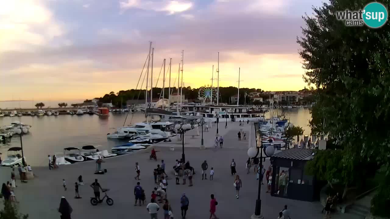 Webcam Krk – marina