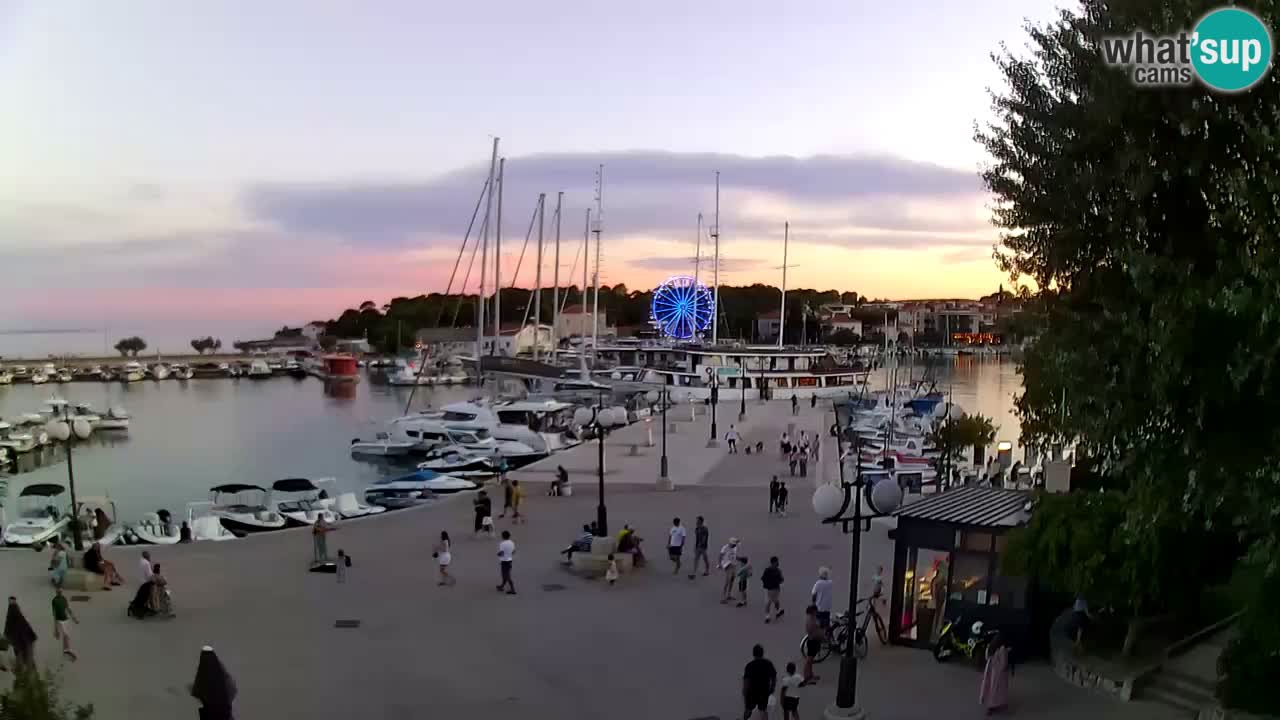 Webcam Krk – marina