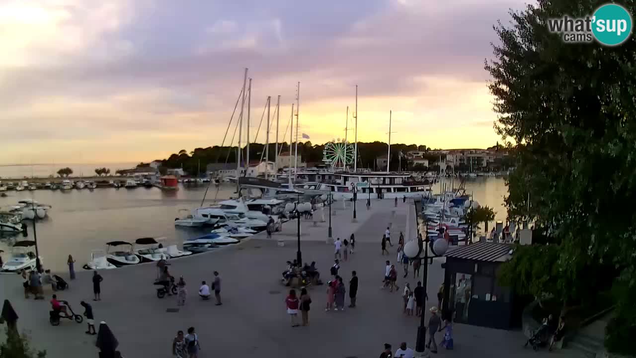 Spletna kamera Krk – marina