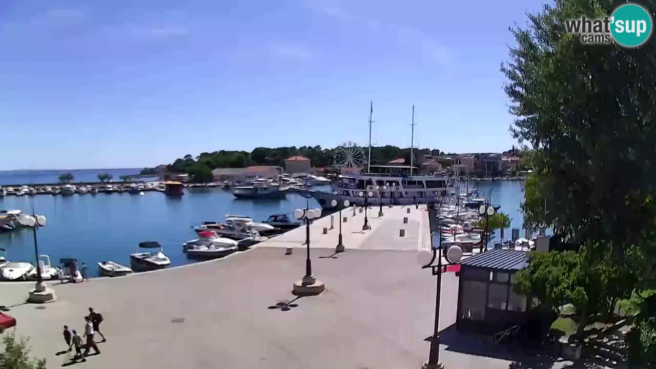Webcam Krk – marina