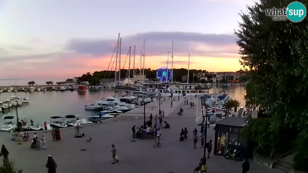 Webcam Krk – marina