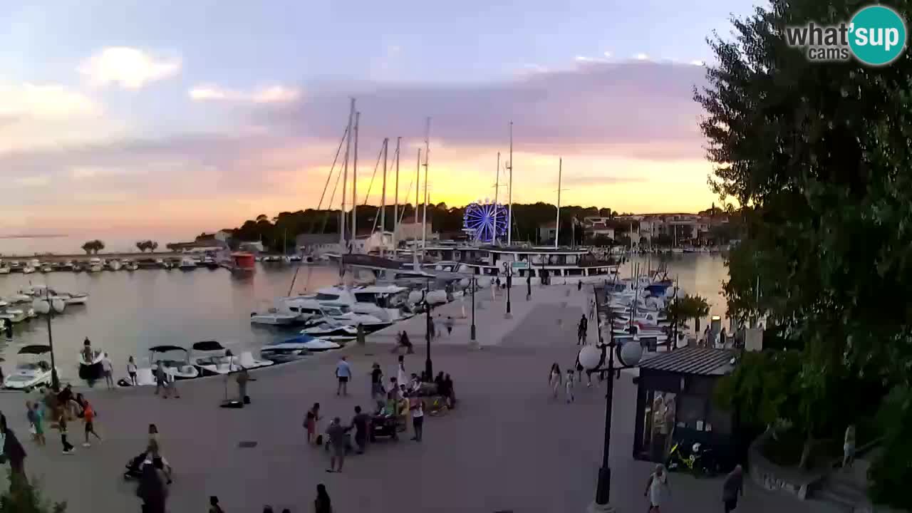 Webcam Krk – marina