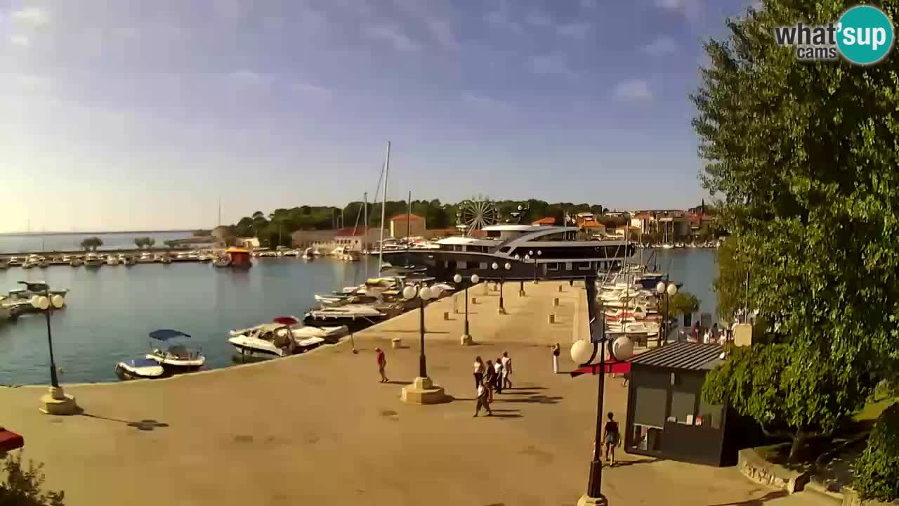 Webcam Krk – marina