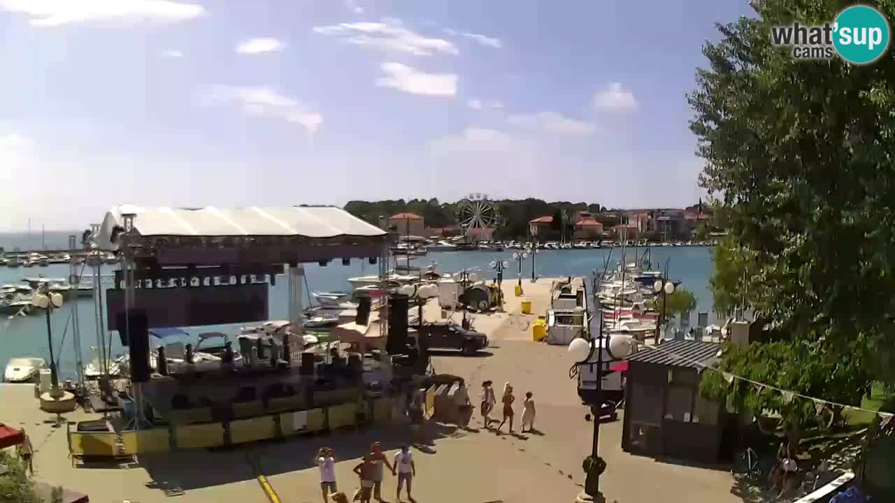 Webcam Krk – marina