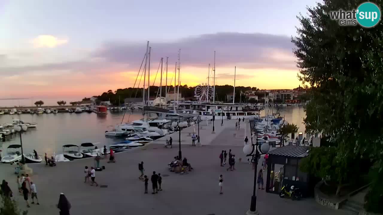Webcam Krk – marina