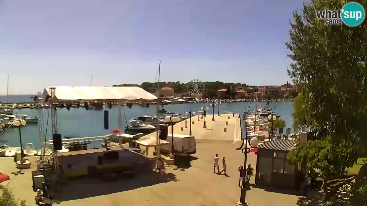 Webcam Krk – marina