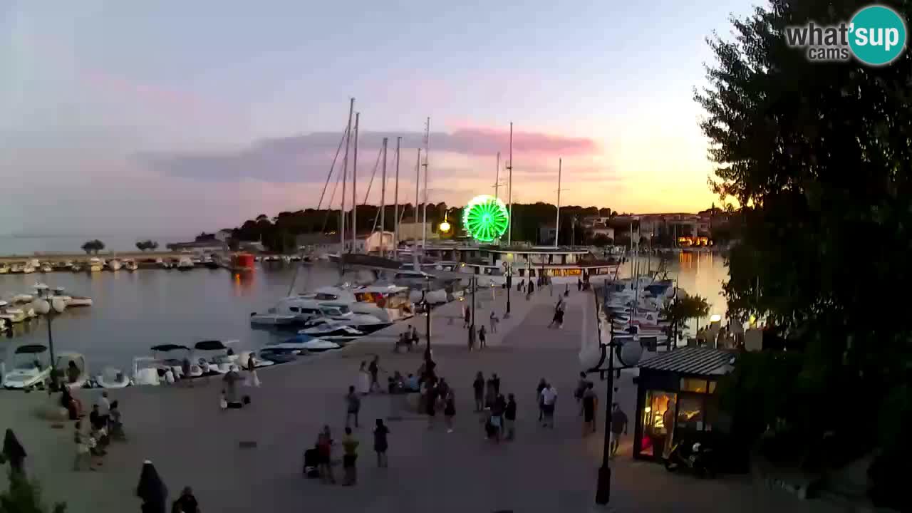 Webcam Krk – marina
