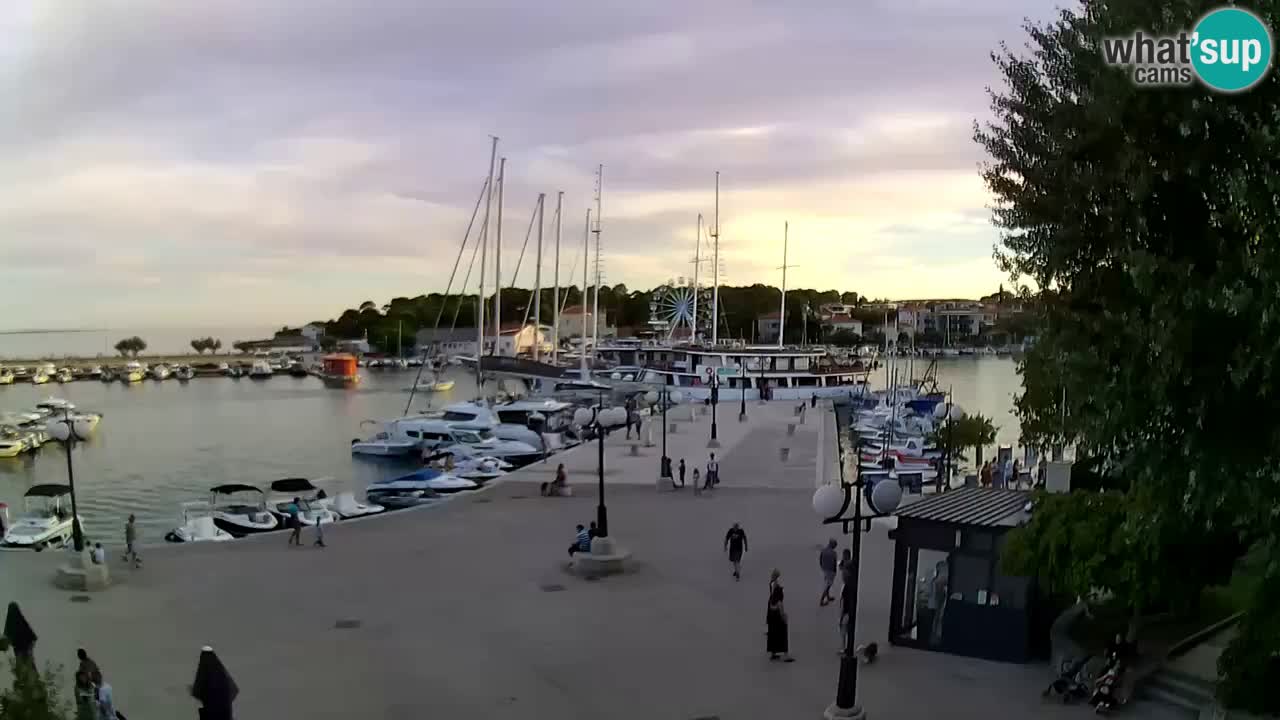 Webcam Krk – marina