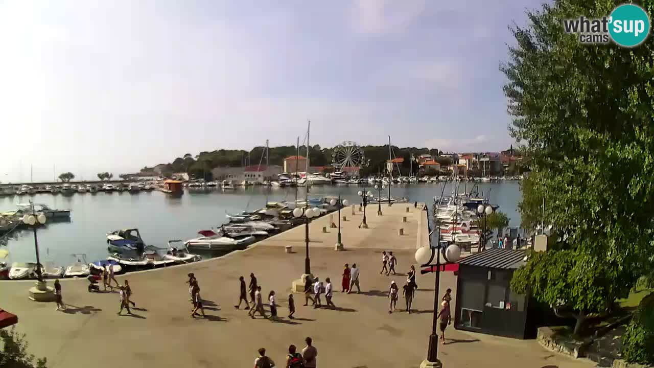 Webcam Krk – marina