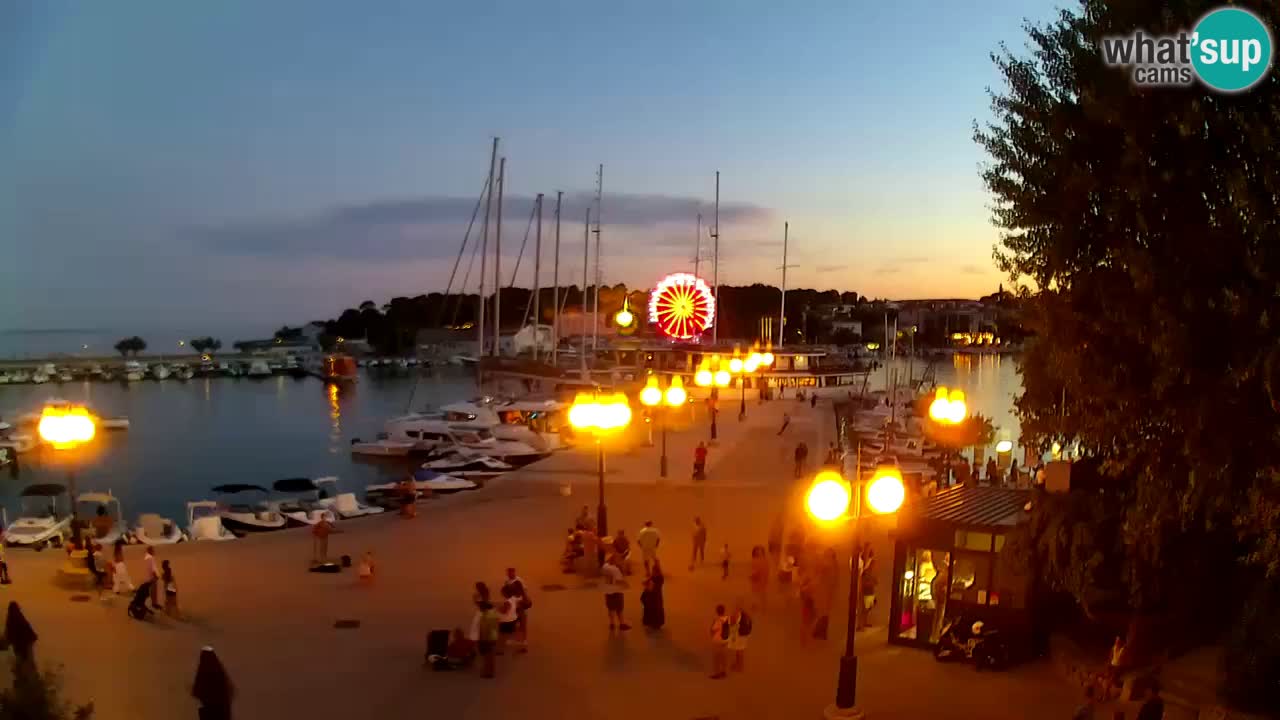 Webcam Krk – marina