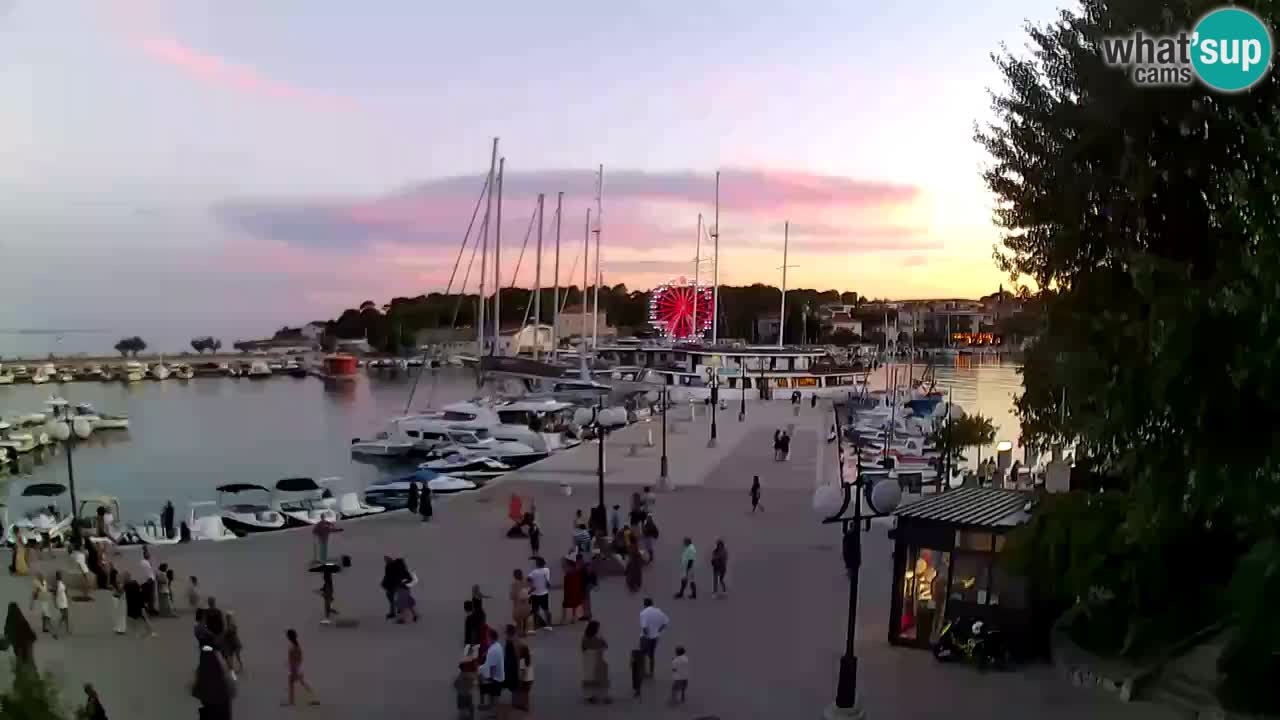 Spletna kamera Krk – marina