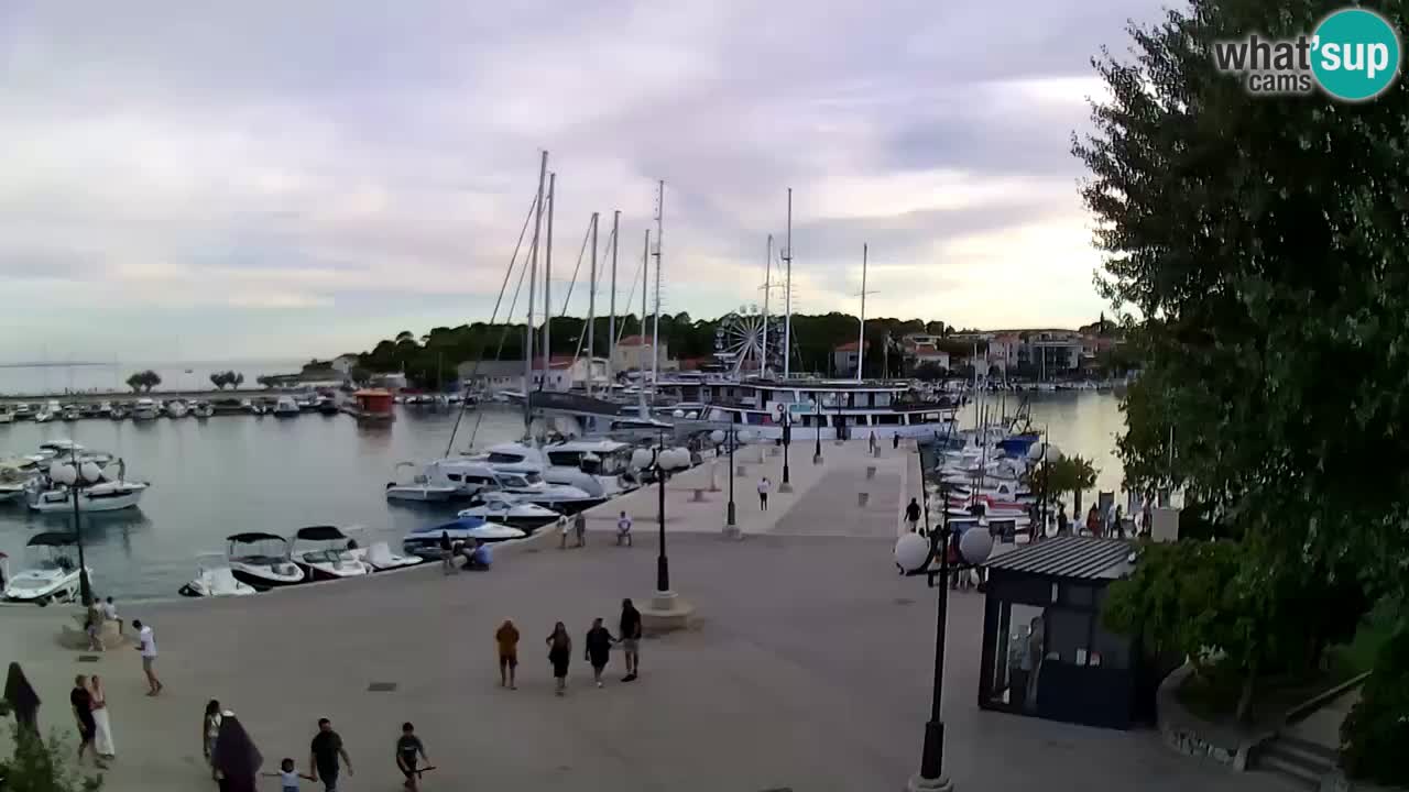 Spletna kamera Krk – marina