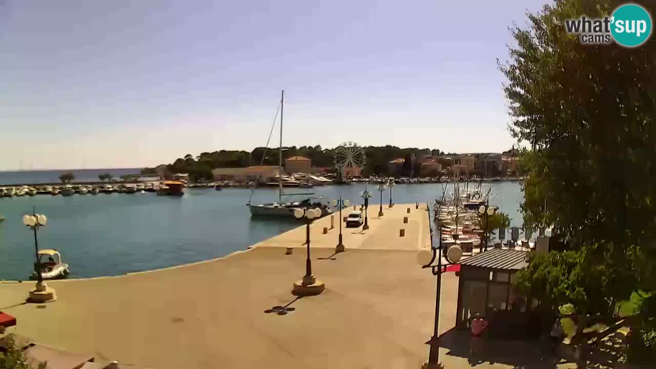 Webcam Krk – marina