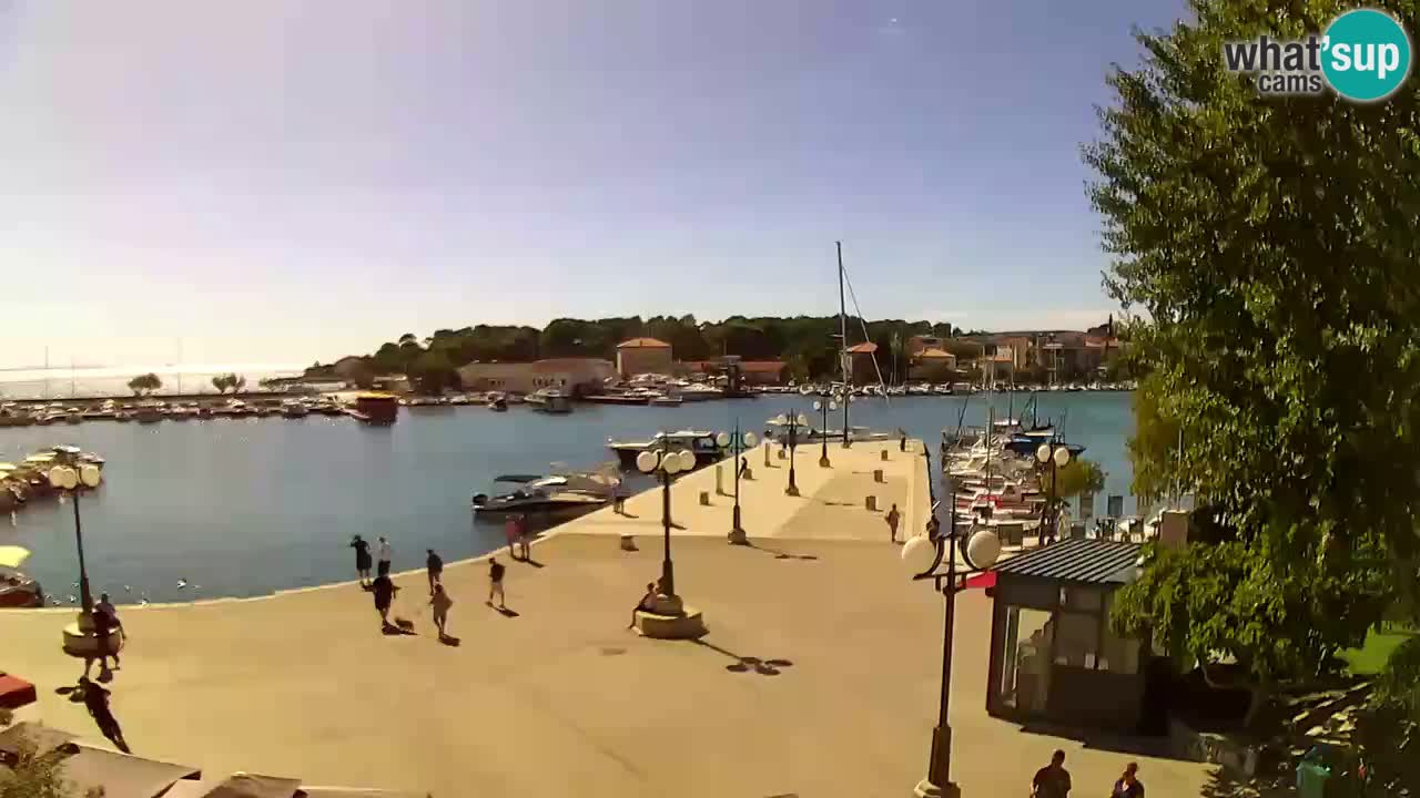 Webcam Krk – marina
