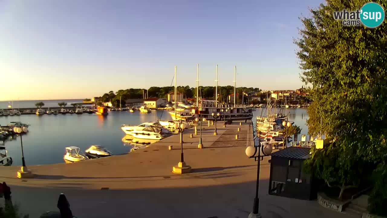 Webcam Krk – marina