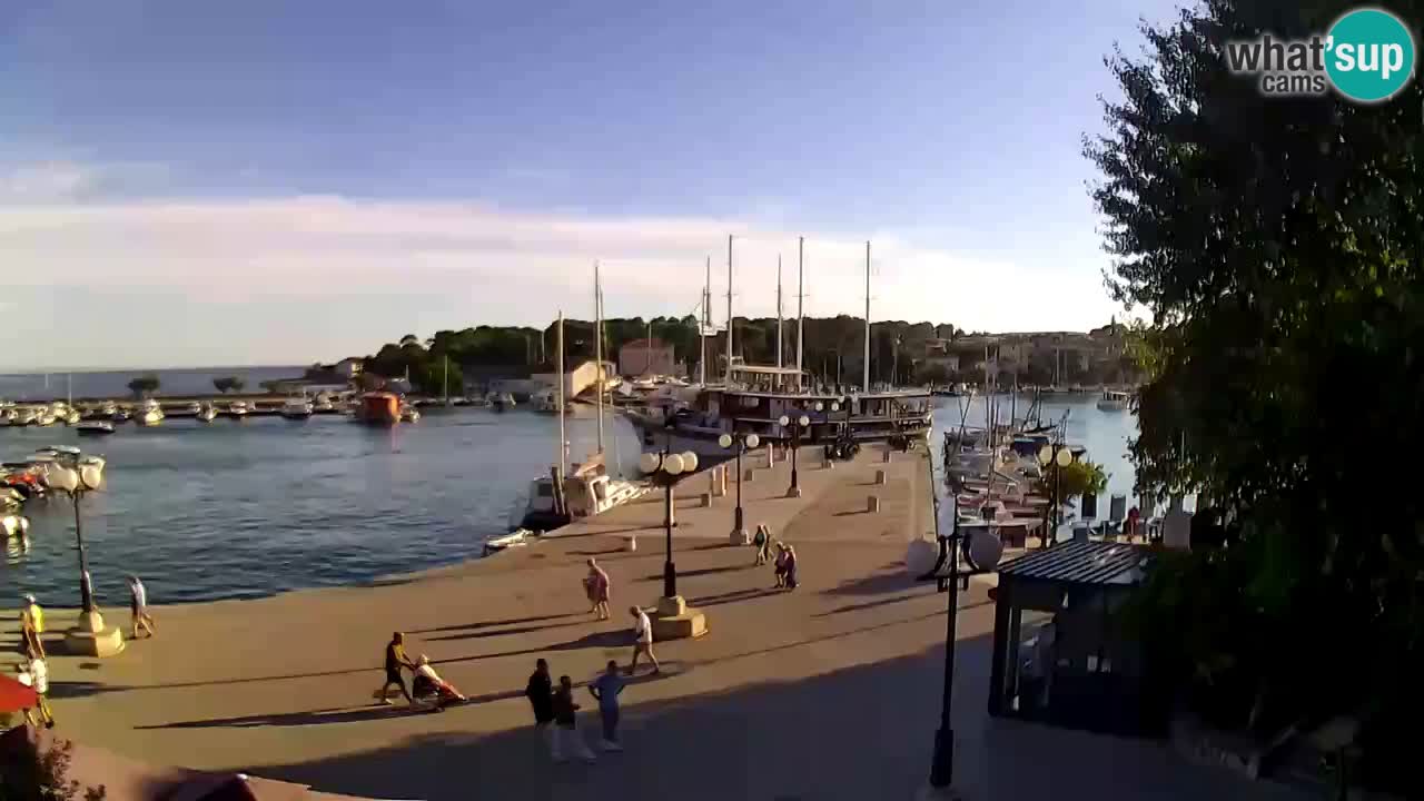 Webcam Krk – marina