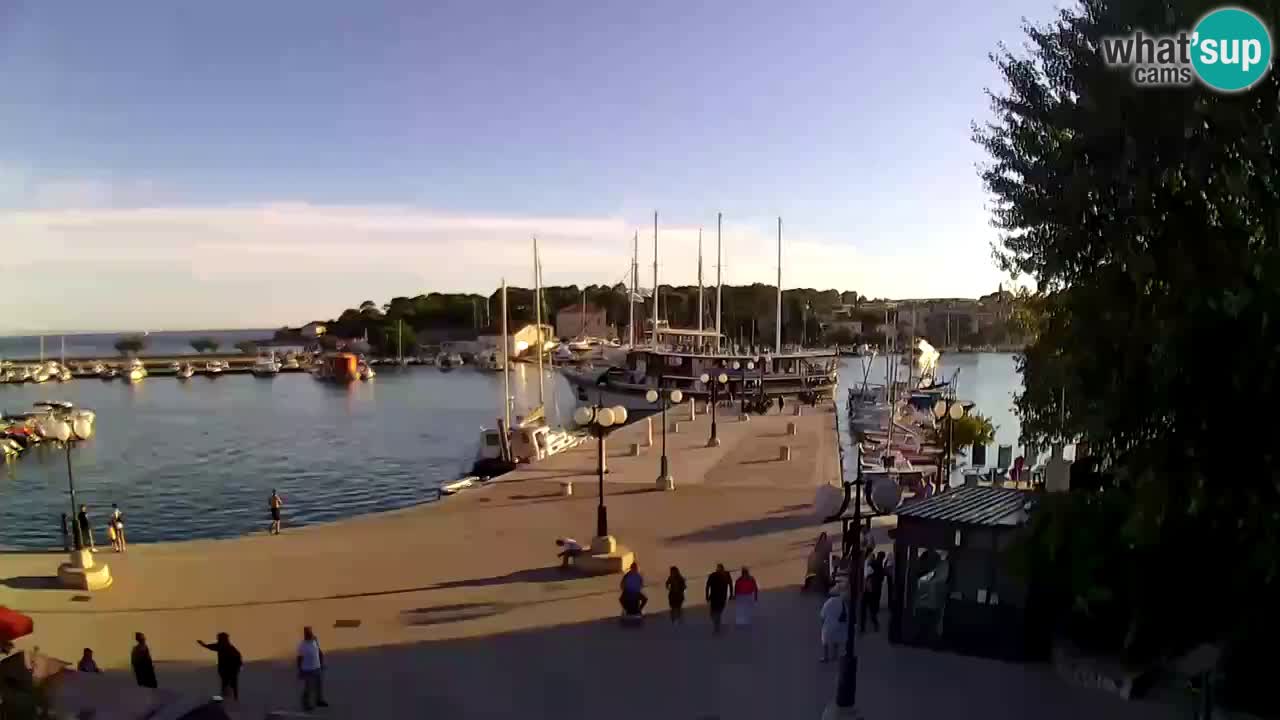 Webcam Krk – marina