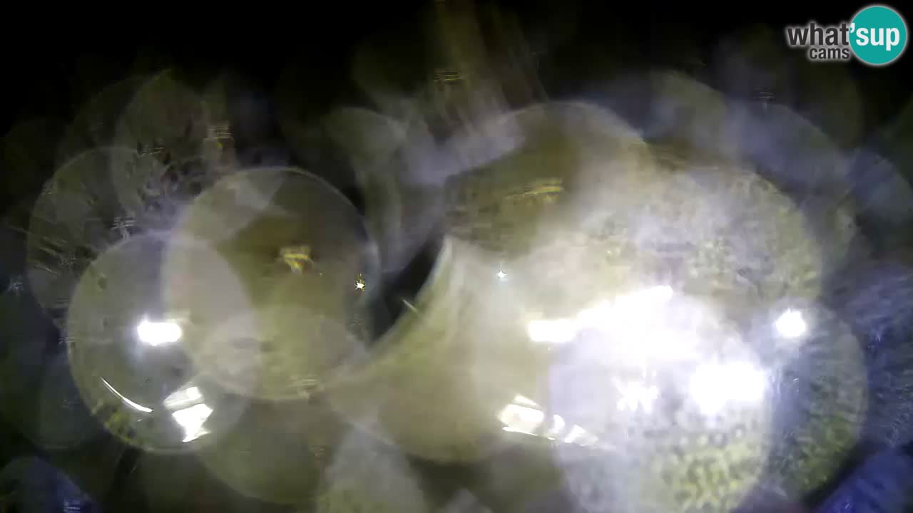 Kamera na żywo - Krk (Krk)