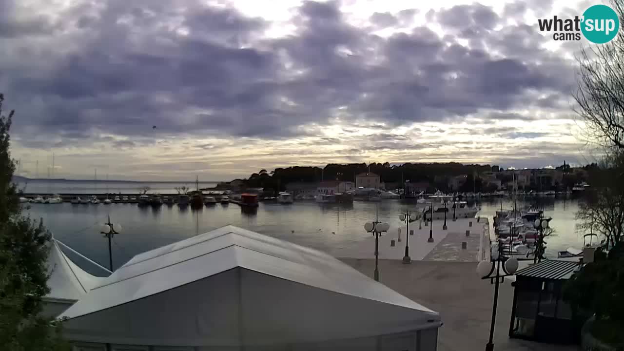 Web camera - Krk (Krk)