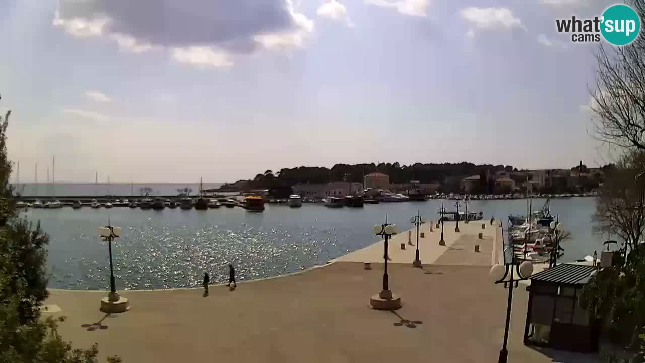 Kamera na żywo - Krk (Krk)