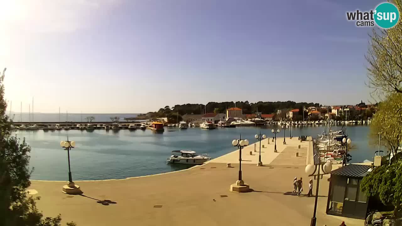 Web kamera - Krk (Krk)