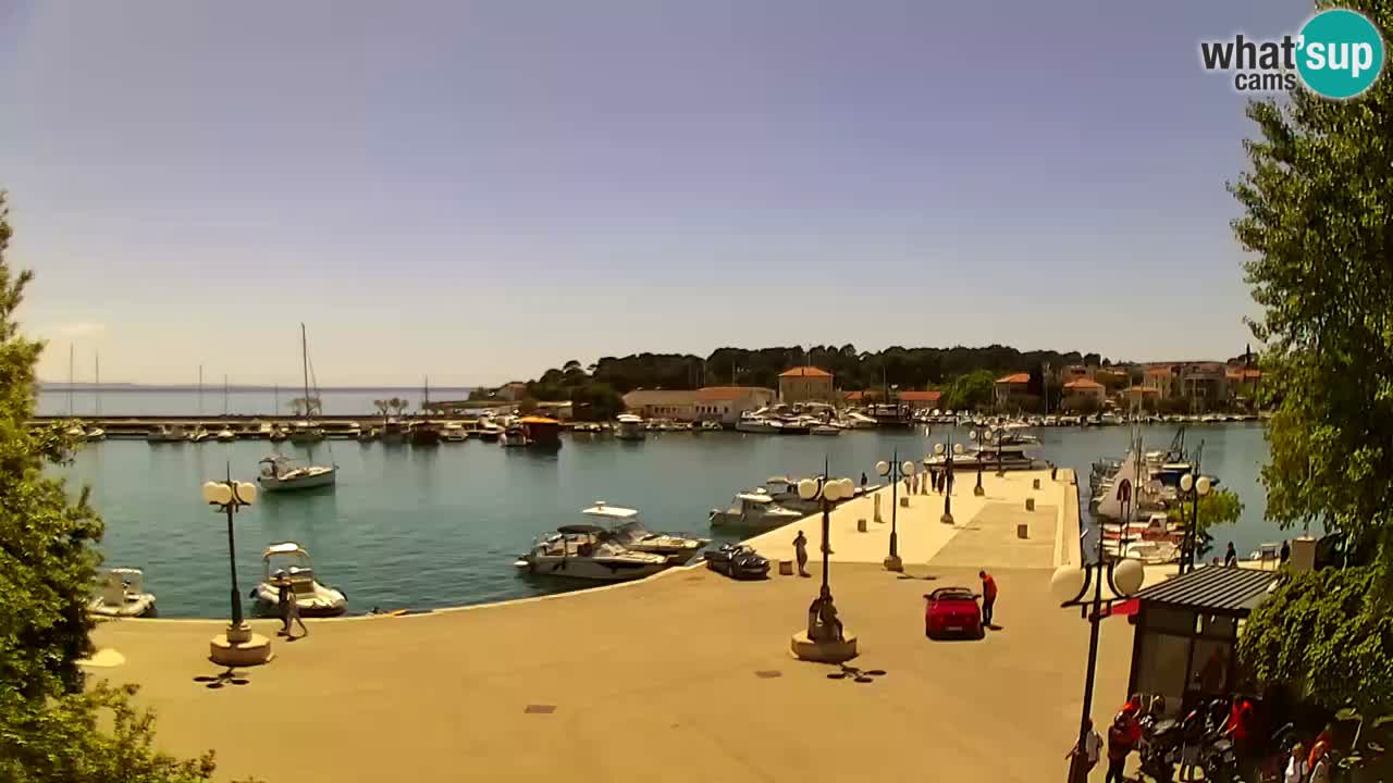 Webkamera - Krk (Krk)