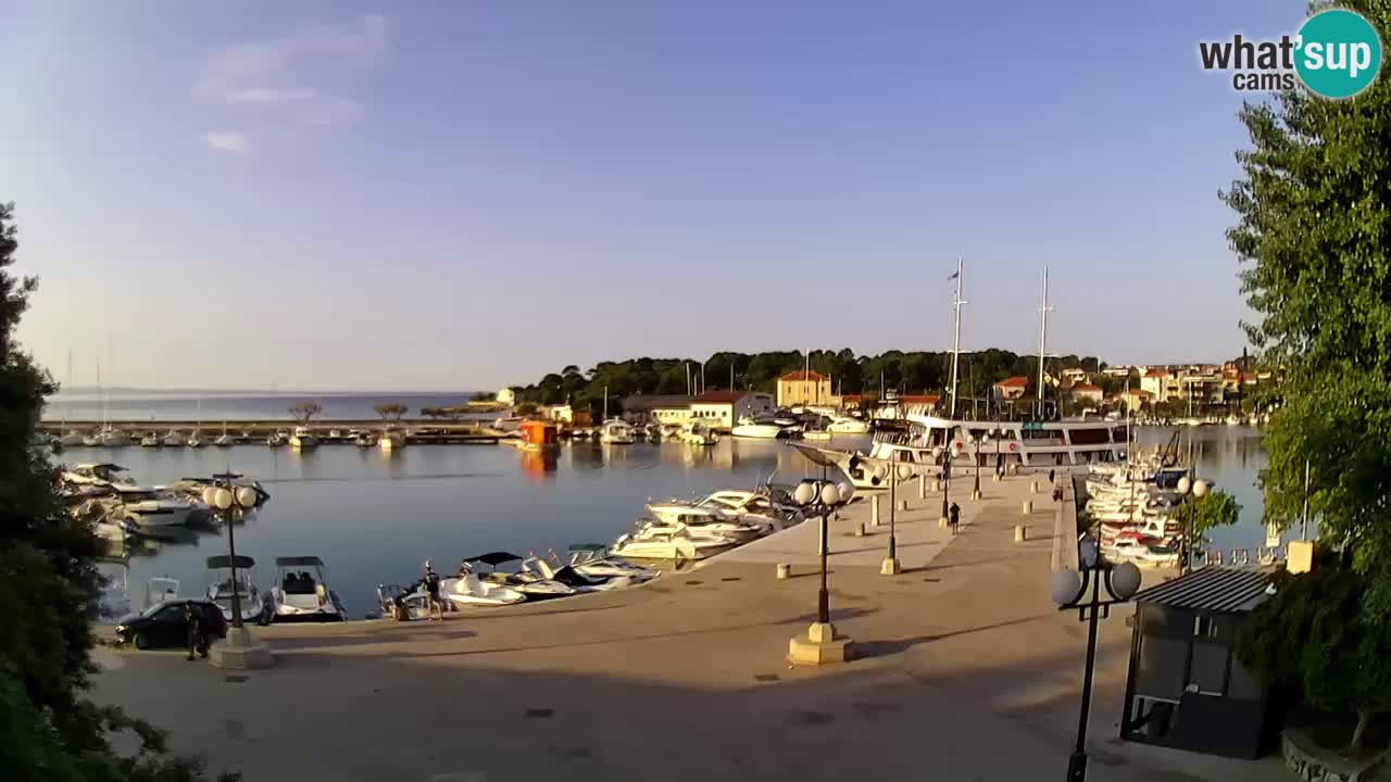 Webcam - Krk (Krk)