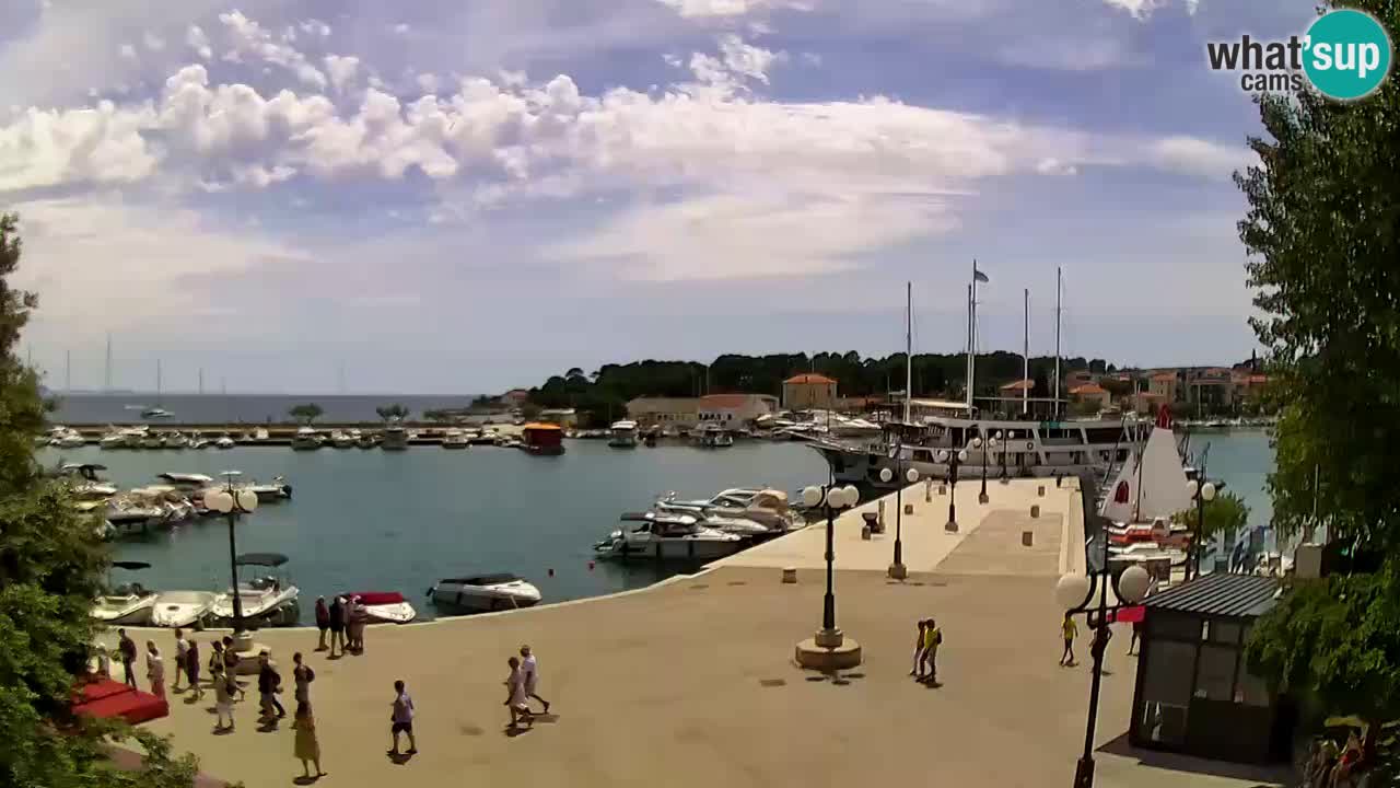 Webcam - Krk (Krk)