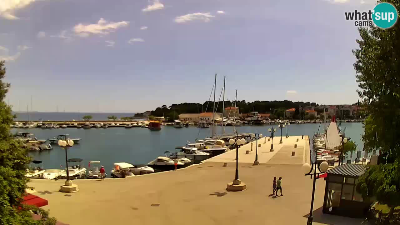 Webcam - Krk (Krk)