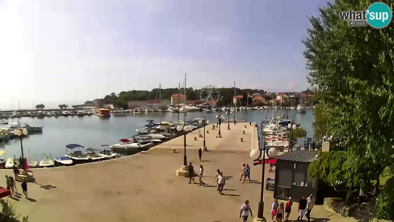 Webcam - Krk (Krk)