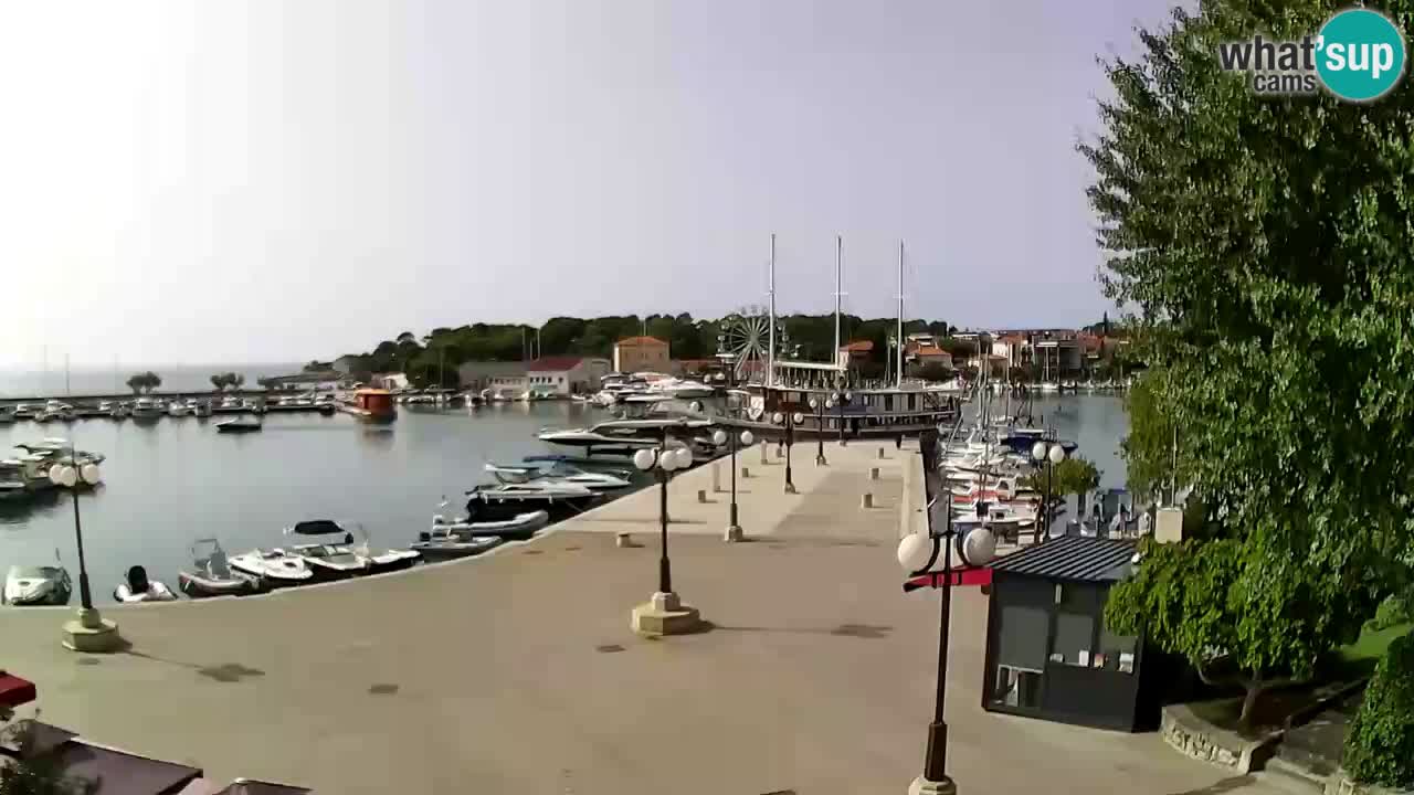 Webkamera - Krk (Krk)