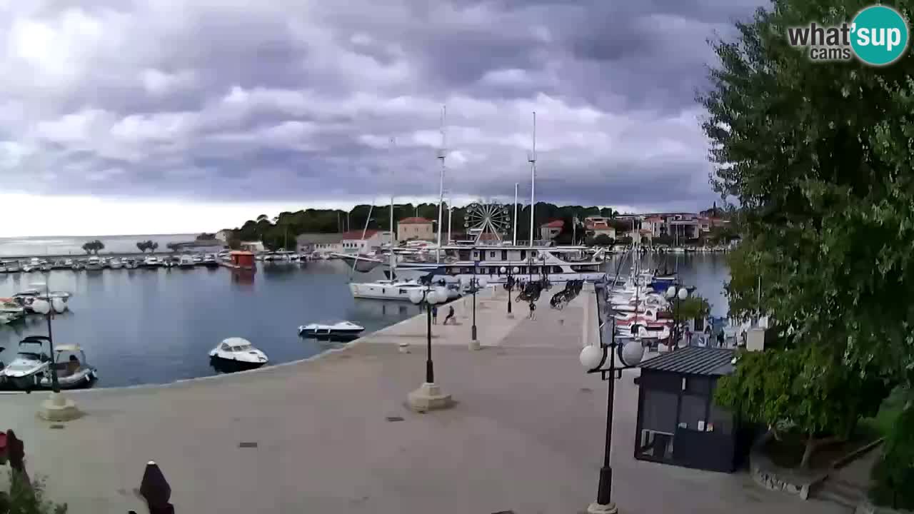 Web camera - Krk (Krk)