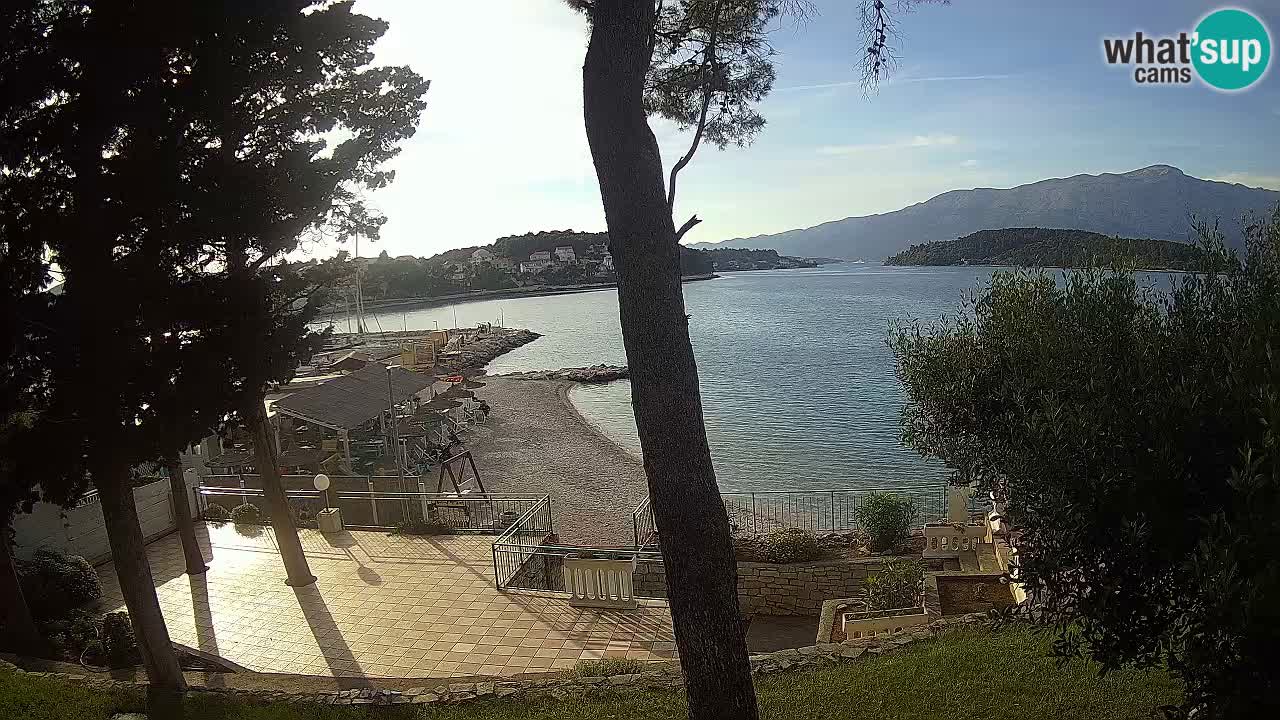 Camera en vivo Lumbarda – Playa Prvi Žal – Korčula