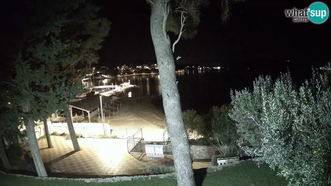 Camera en vivo Lumbarda – Playa Prvi Žal – Korčula