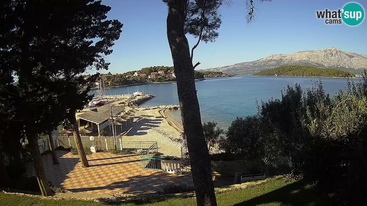 Camera en vivo Lumbarda – Playa Prvi Žal – Korčula