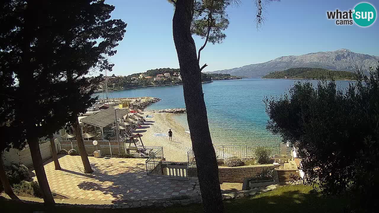 Camera en vivo Lumbarda – Playa Prvi Žal – Korčula