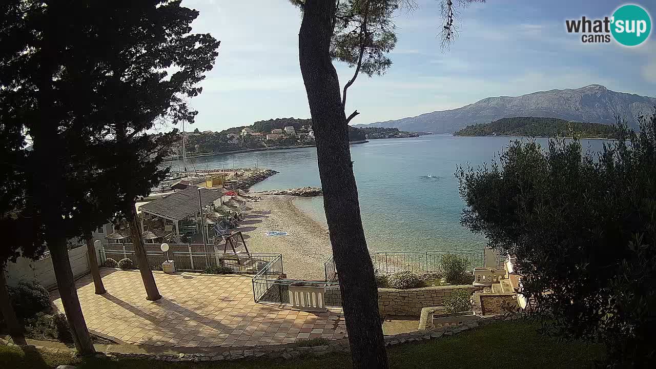 Camera en vivo Lumbarda – Playa Prvi Žal – Korčula