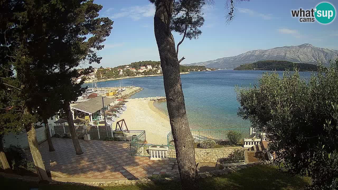 Camera en vivo Lumbarda – Playa Prvi Žal – Korčula