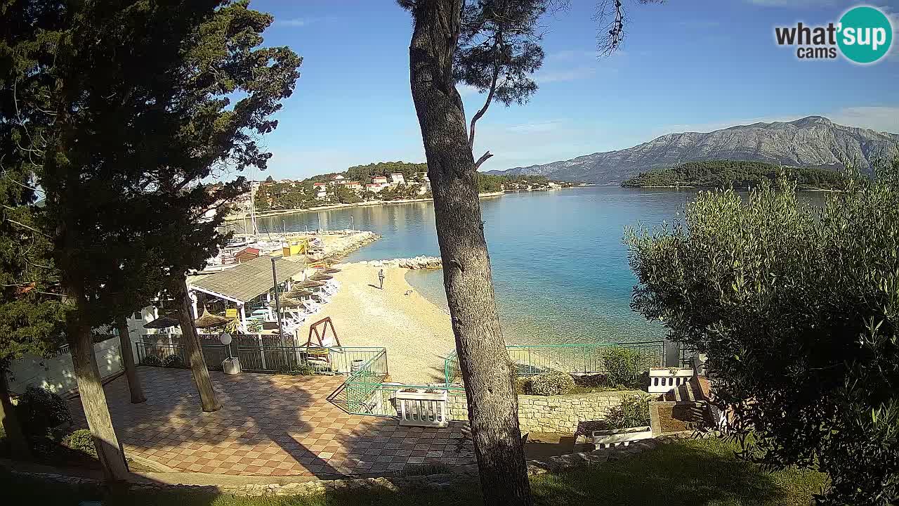 Camera en vivo Lumbarda – Playa Prvi Žal – Korčula