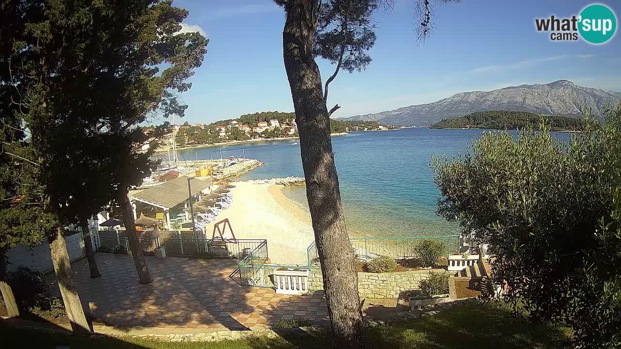 Camera en vivo Lumbarda – Playa Prvi Žal – Korčula