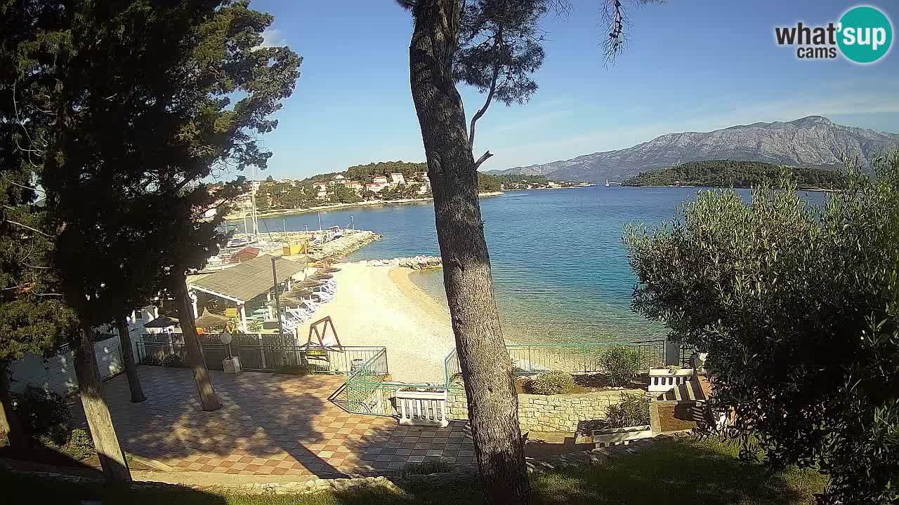 Camera en vivo Lumbarda – Playa Prvi Žal – Korčula